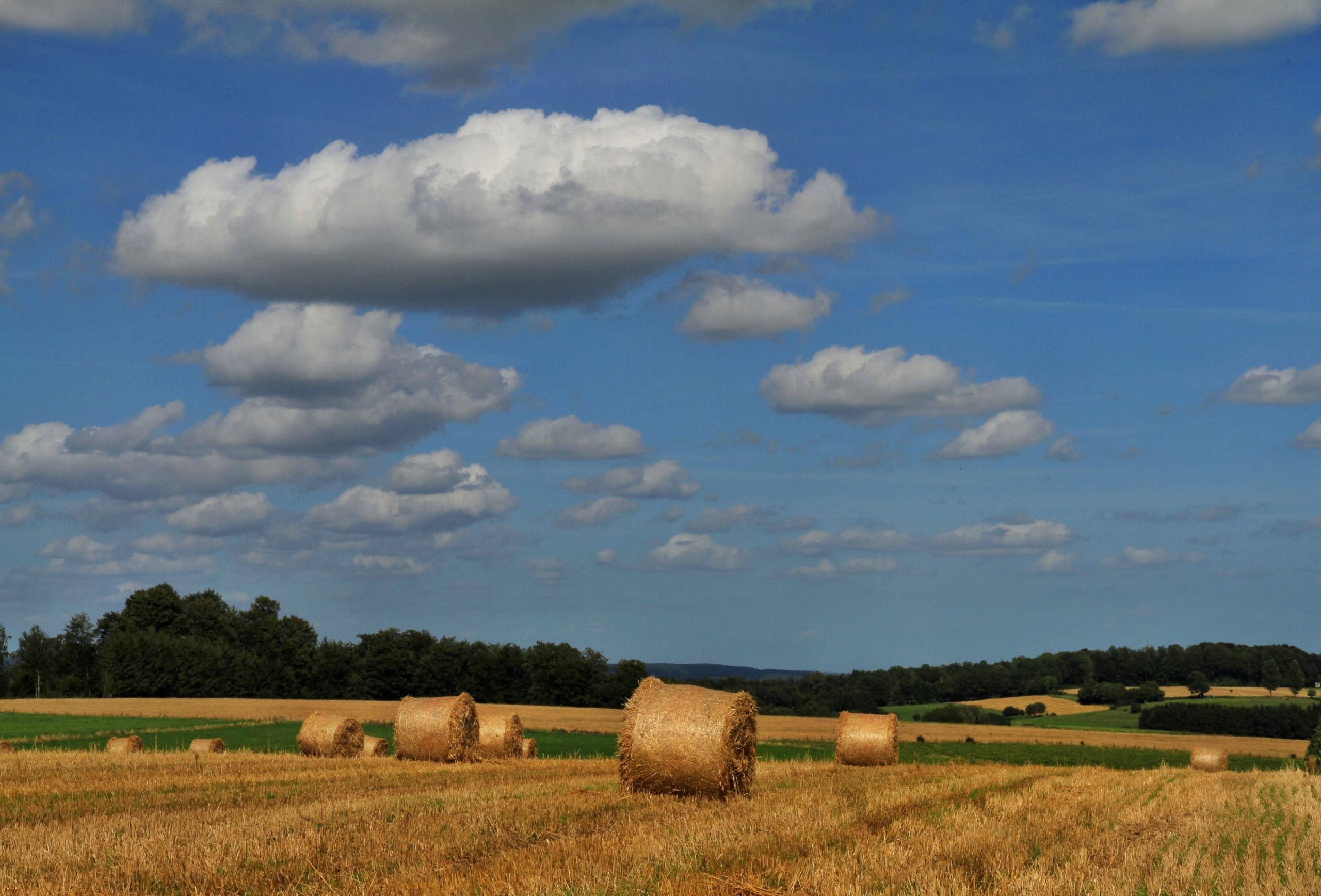 Wallpapers Nature Fields 