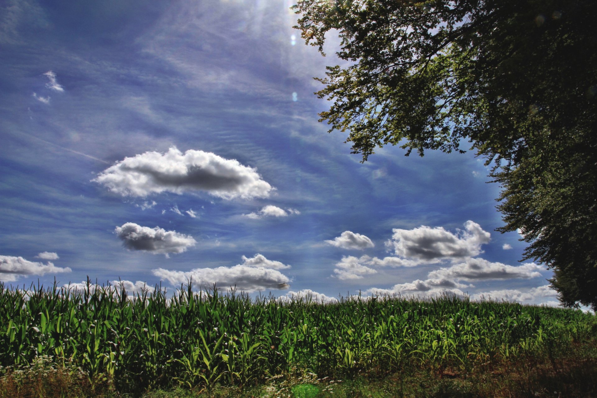 Wallpapers Nature Skies - Clouds 