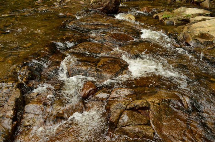 Wallpapers Nature Rivers - Torrents Lake Georges 