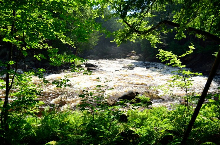 Fonds d'cran Nature Fleuves - Rivires - Torrents Lake Georges 