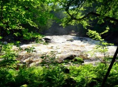  Nature Lake Georges 