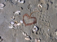  Nature un coeur echoue sur la plage