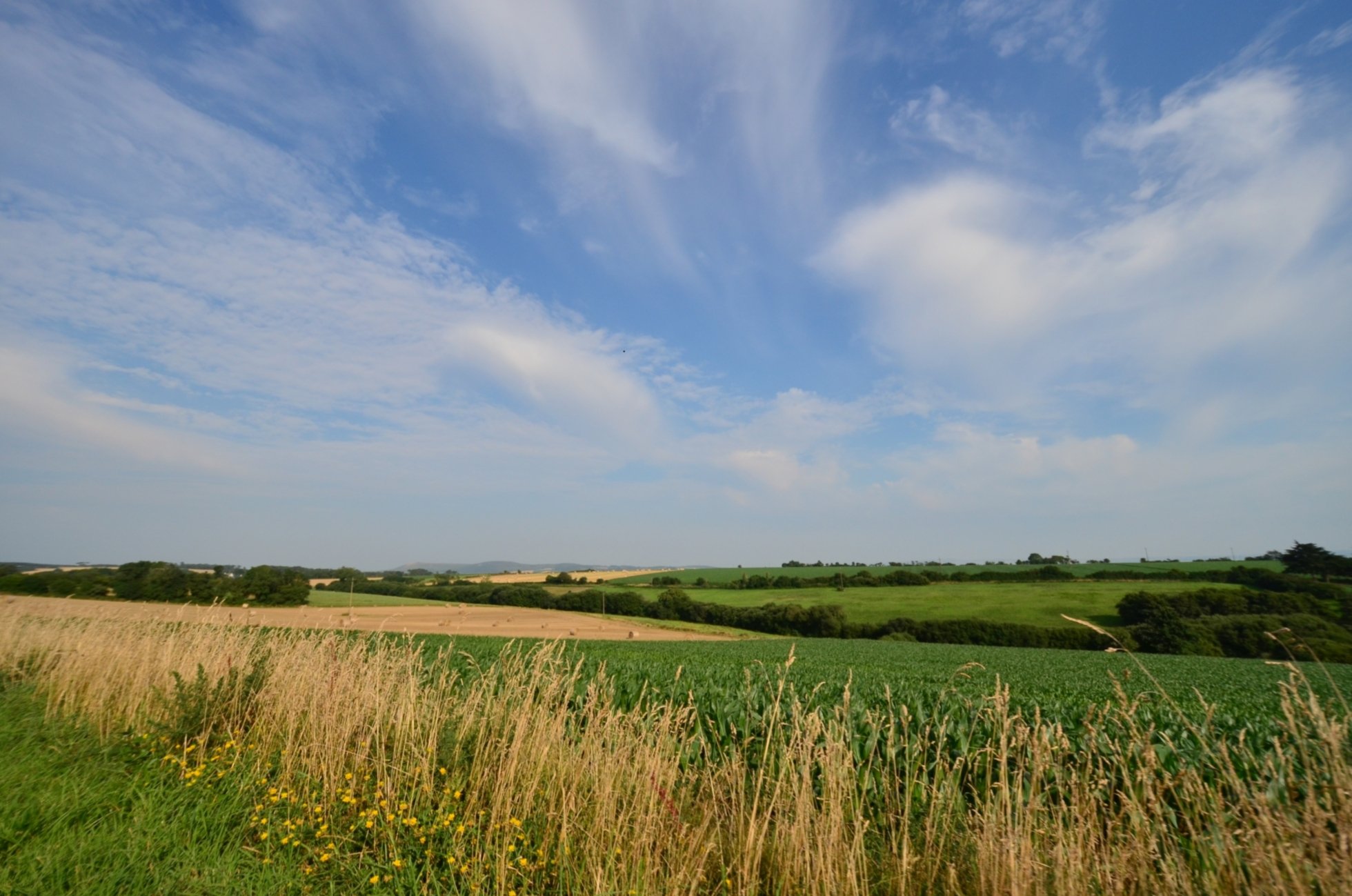 Fonds d'cran Nature Champs - Prairies 