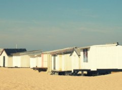  Nature Cabanes de Calais