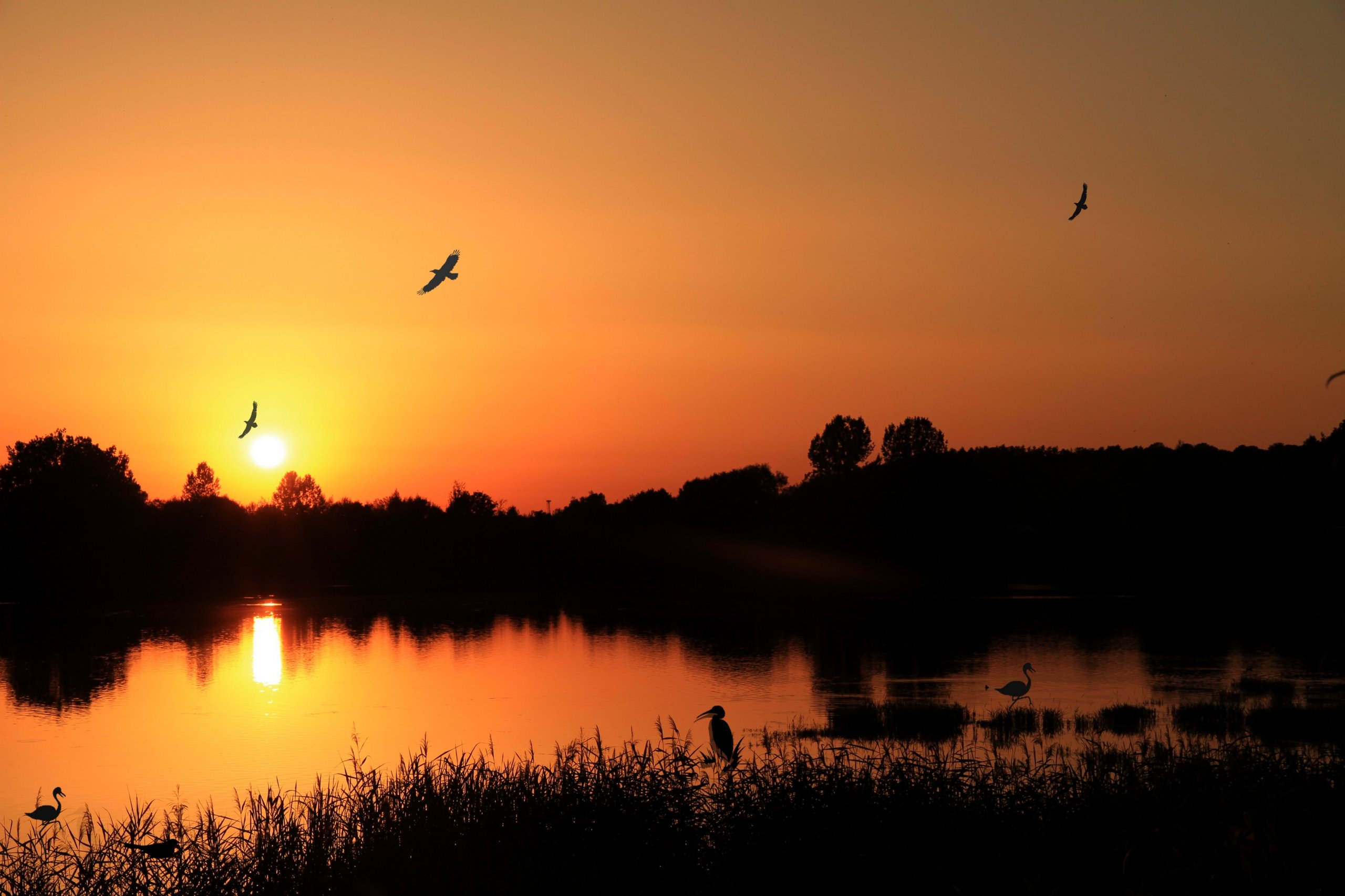 Fonds d'cran Nature Couchers et levers de Soleil 