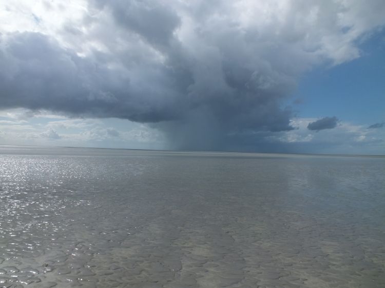 Fonds d'cran Nature Mers - Ocans - Plages Plage du 