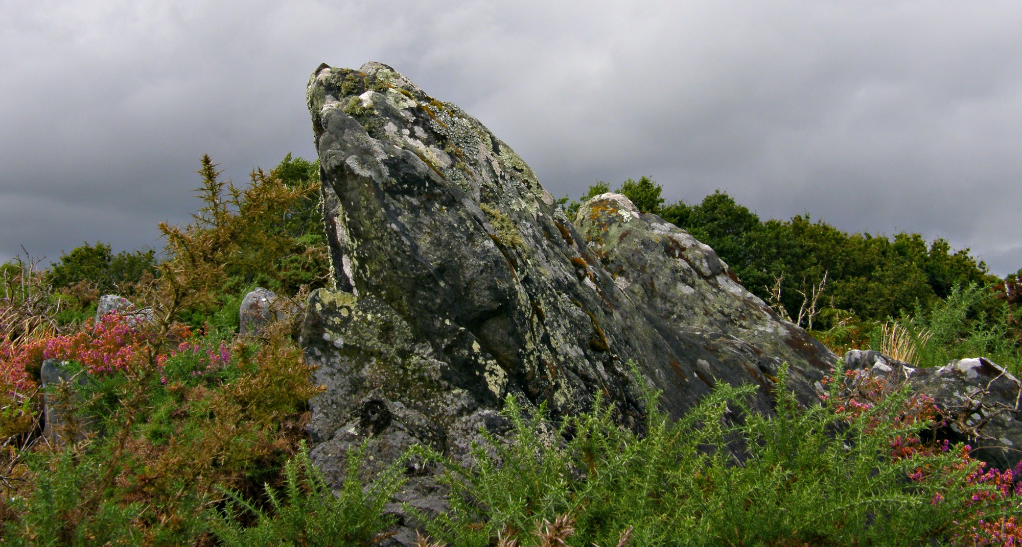 Wallpapers Nature Landscapes parcours au pays de guerlédan, 22