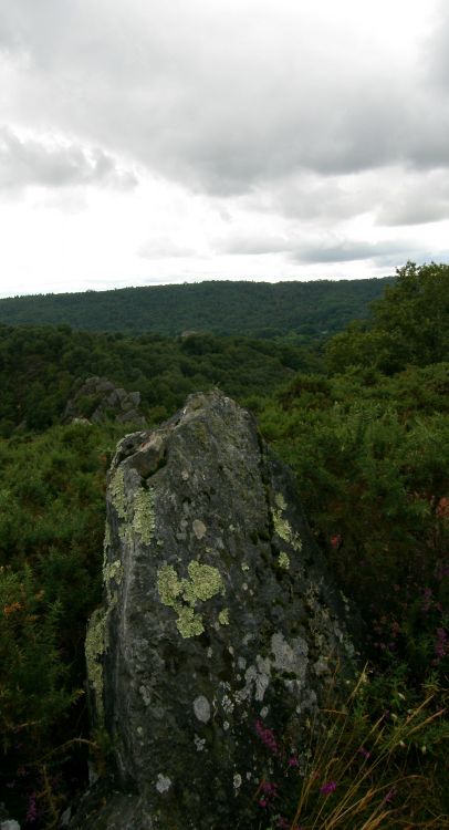 Fonds d'cran Nature Paysages vallée du daoulas et abbaye du bon repos