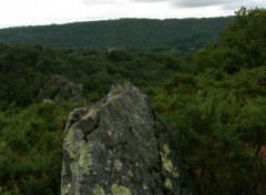  Nature vallée du daoulas et abbaye du bon repos