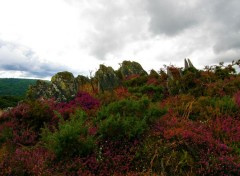  Nature parcours au pays de guerlédan, 22