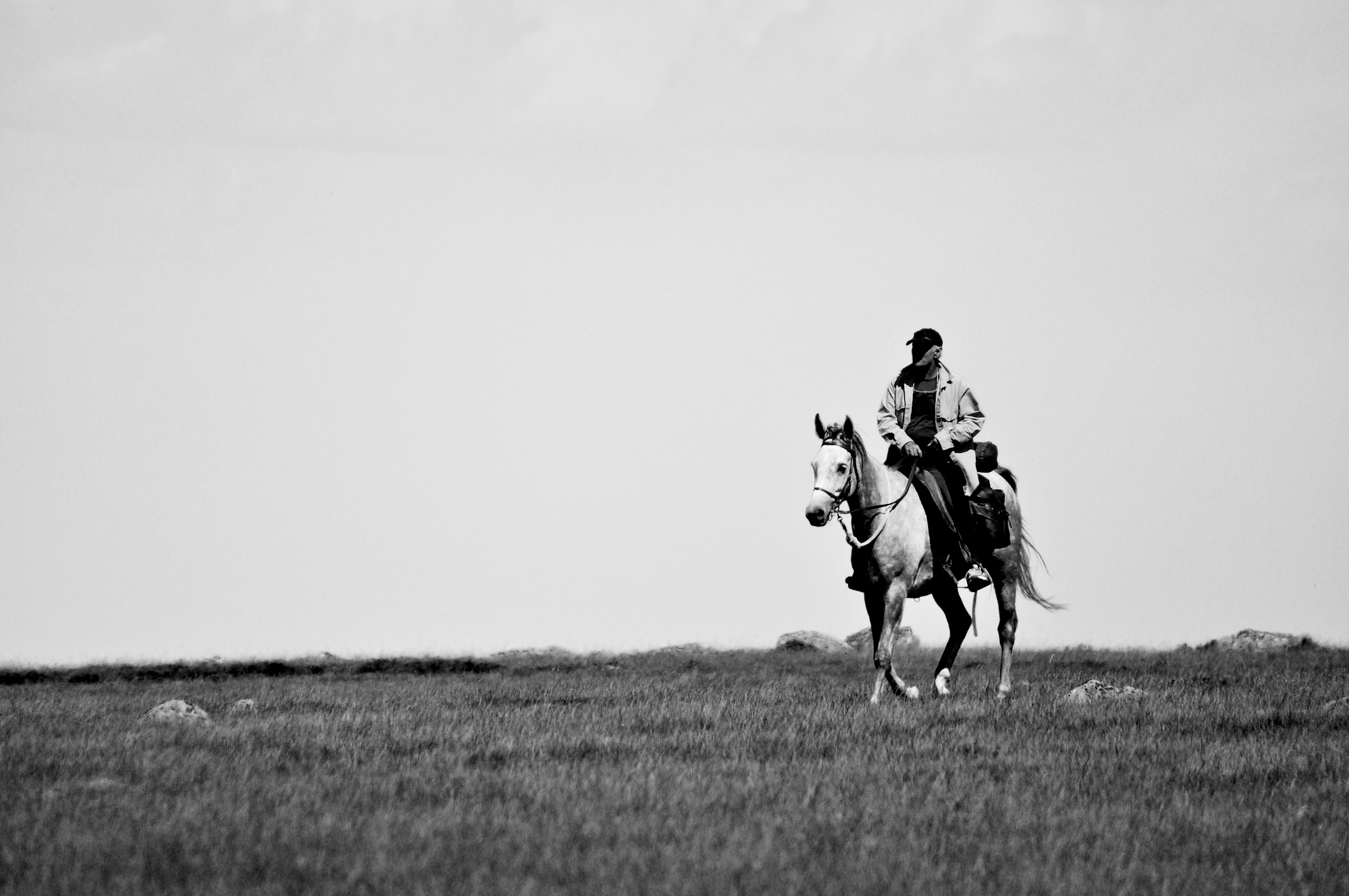 Fonds d'cran Sports - Loisirs Equitation Spirit