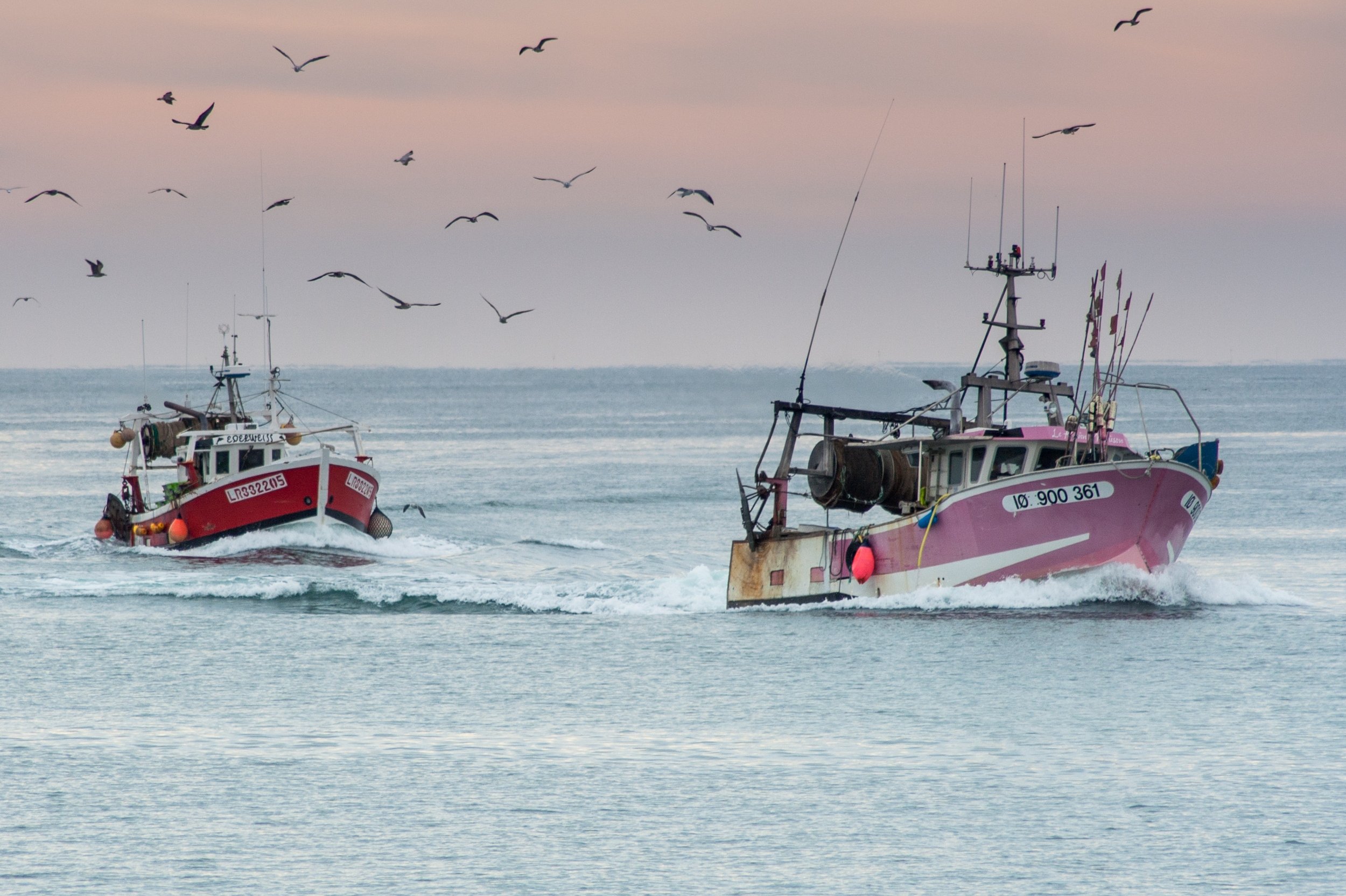 Wallpapers Boats Fishing Boats rose et rouge reunis