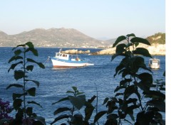  Trips : Europ Samos, Greece