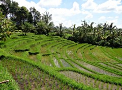  Voyages : Asie pics of bali 2