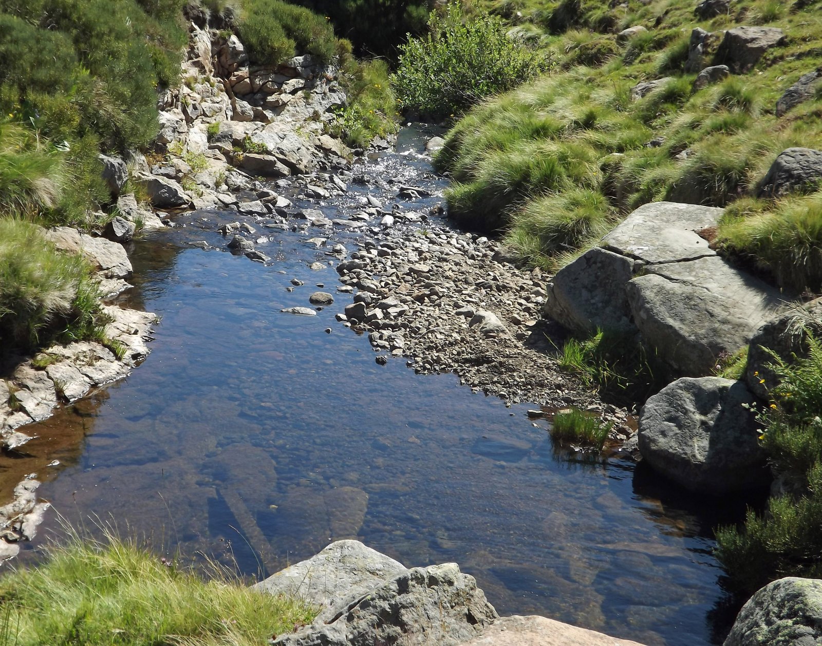 Wallpapers Nature Rivers - Torrents petit ruisseau des montagnes