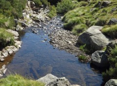  Nature petit ruisseau des montagnes