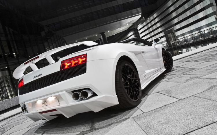 Wallpapers Cars Lamborghini Wallpaper N312091