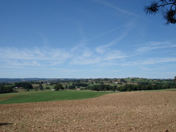 Fonds d'cran Nature Campagne Cantal