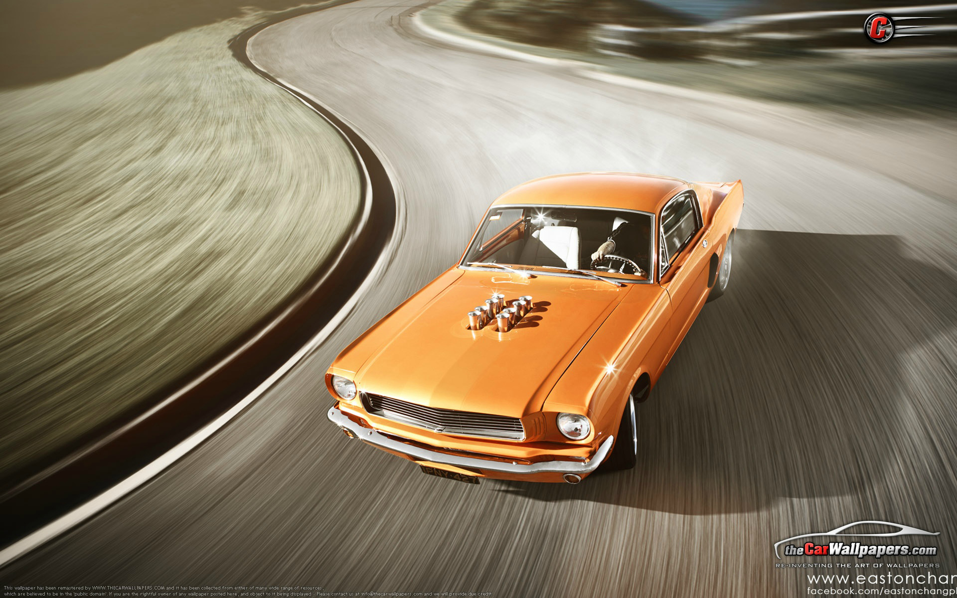 Wallpapers Cars Mustang mustang (1964)