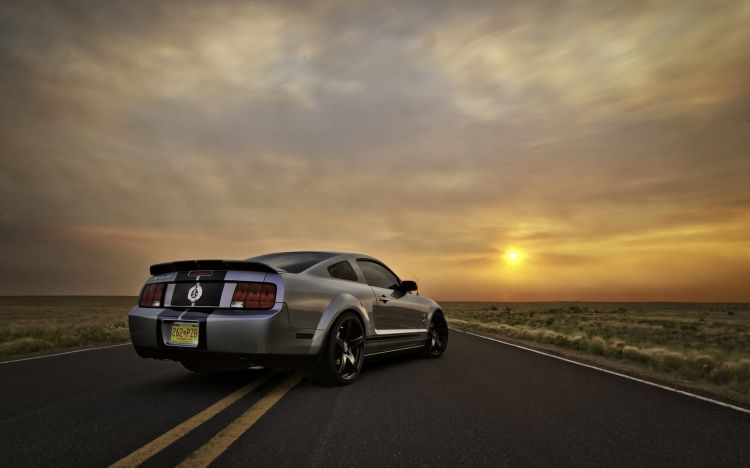 Wallpapers Cars Mustang Wallpaper N312317