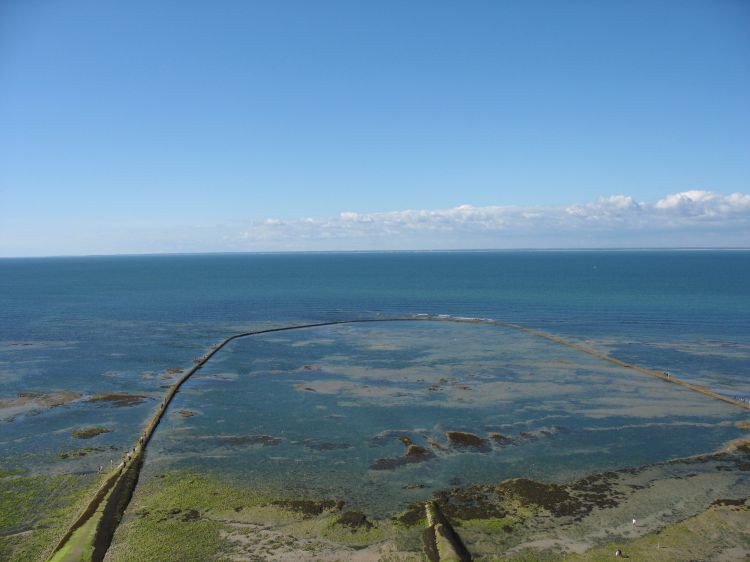 Fonds d'cran Voyages : Europe France > Poitou Charente vue du phare de la baleine a l'île de ré