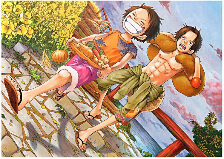 Wallpapers Manga One Piece Wallpaper N312487