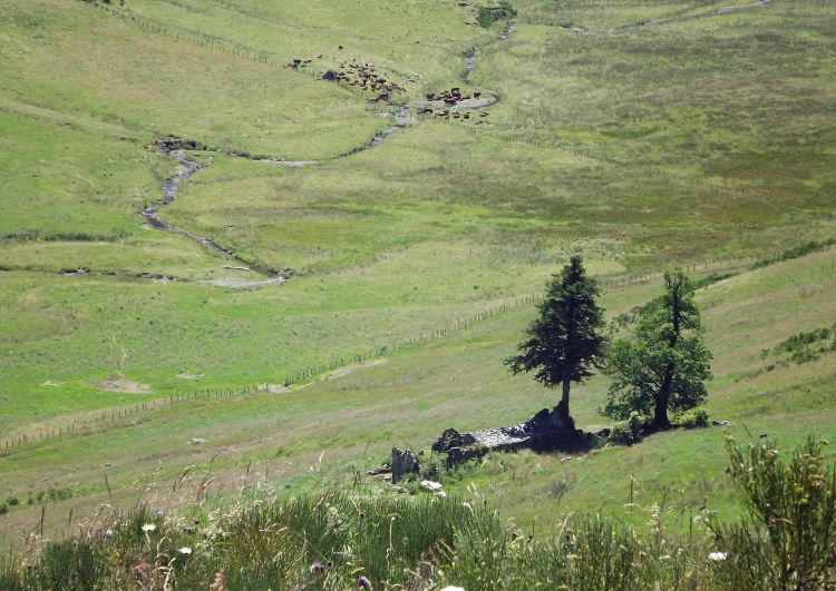 Wallpapers Nature Landscapes cantal