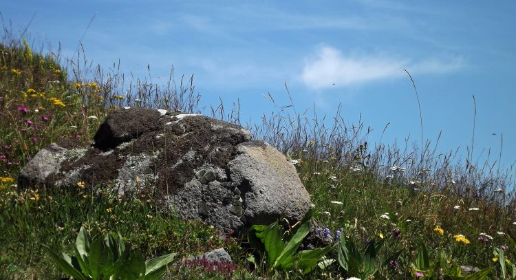 Wallpapers Nature Landscapes cantal