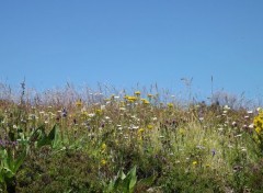  Nature cantal