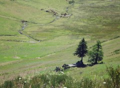  Nature cantal