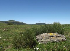  Nature cantal