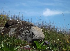  Nature cantal