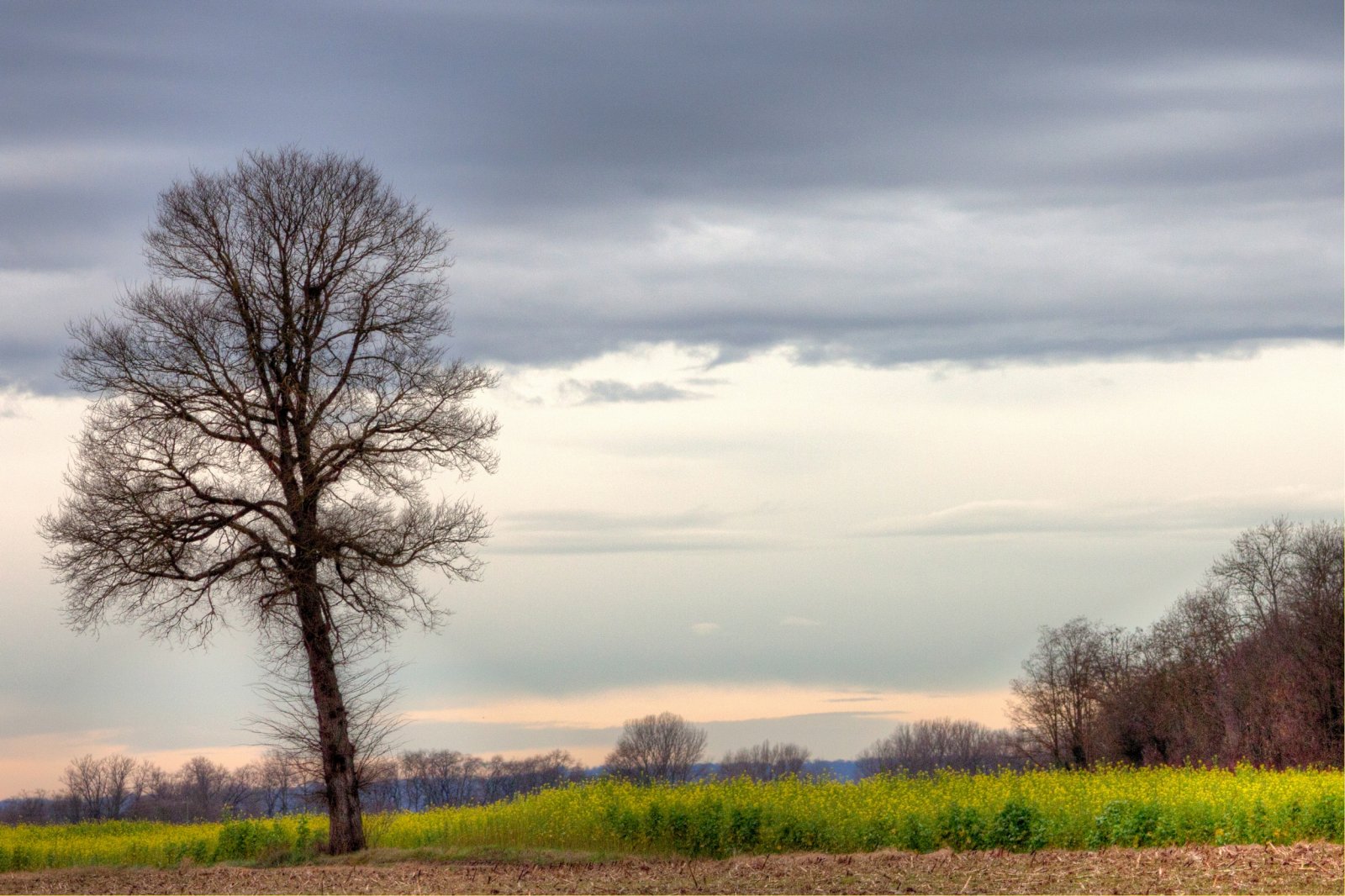 Fonds d'cran Nature Campagne 