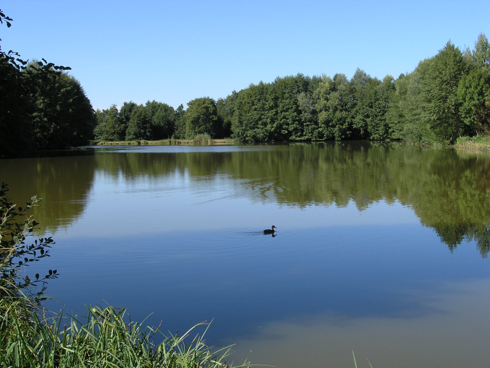 Fonds d'cran Nature Lacs - Etangs 