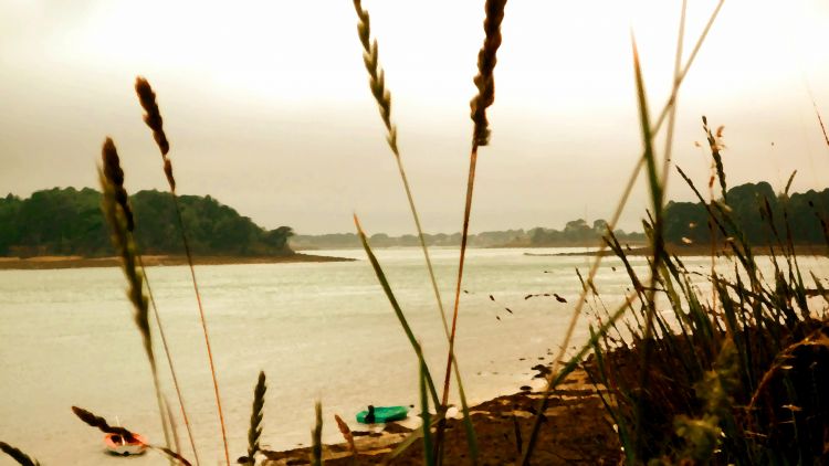 Fonds d'cran Art - Numrique Nature - Ocan, Plages Sur une plage du Morbihan