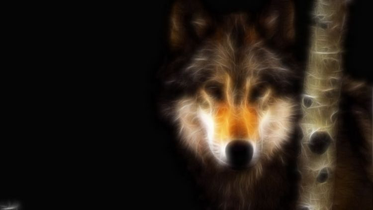 Wallpapers Digital Art Animals loup fractal