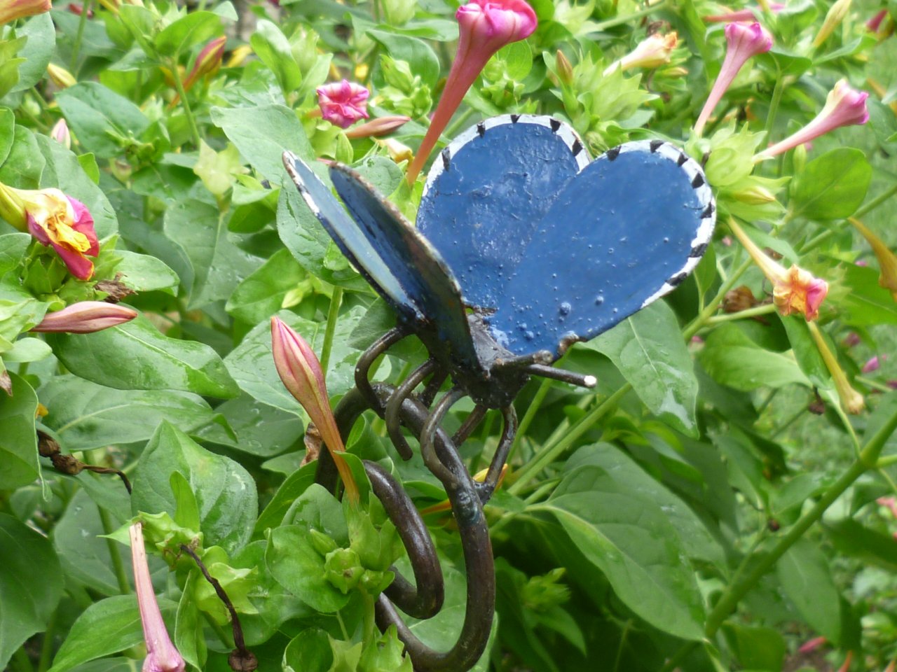 Fonds d'cran Nature Fleurs chercher l'intrus