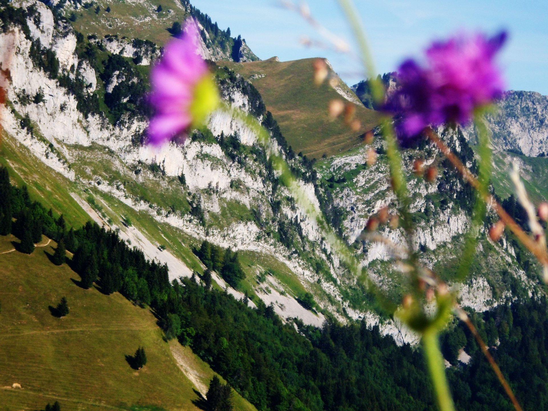 Fonds d'cran Nature Montagnes La tournette