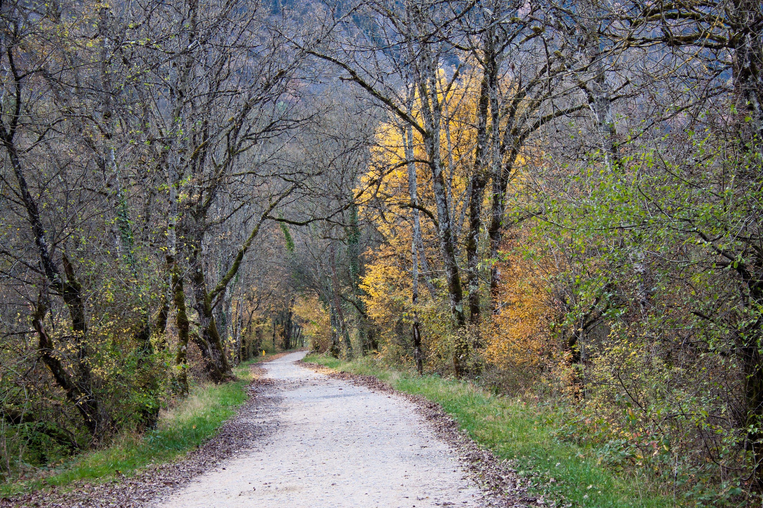 Fonds d'cran Nature Chemins le chemin blanc