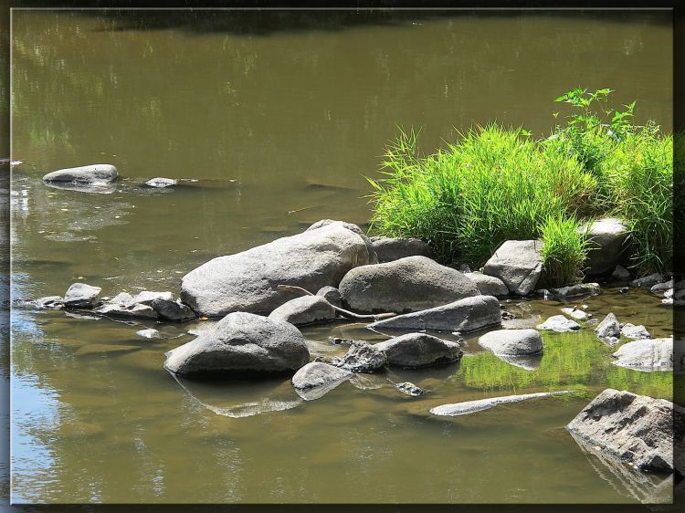 Wallpapers Nature Water - Reflection Aumance (Allier)