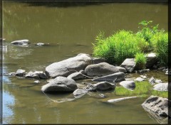  Nature Aumance (Allier)