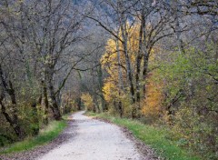  Nature le chemin blanc