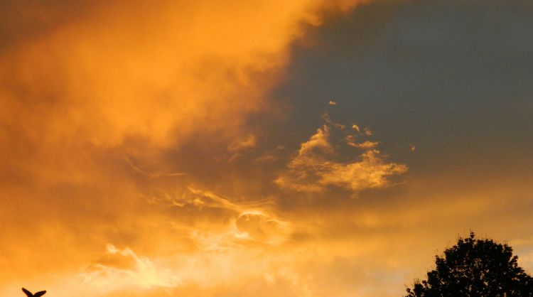 Fonds d'cran Nature Ciel - Nuages Couch de soleil 2