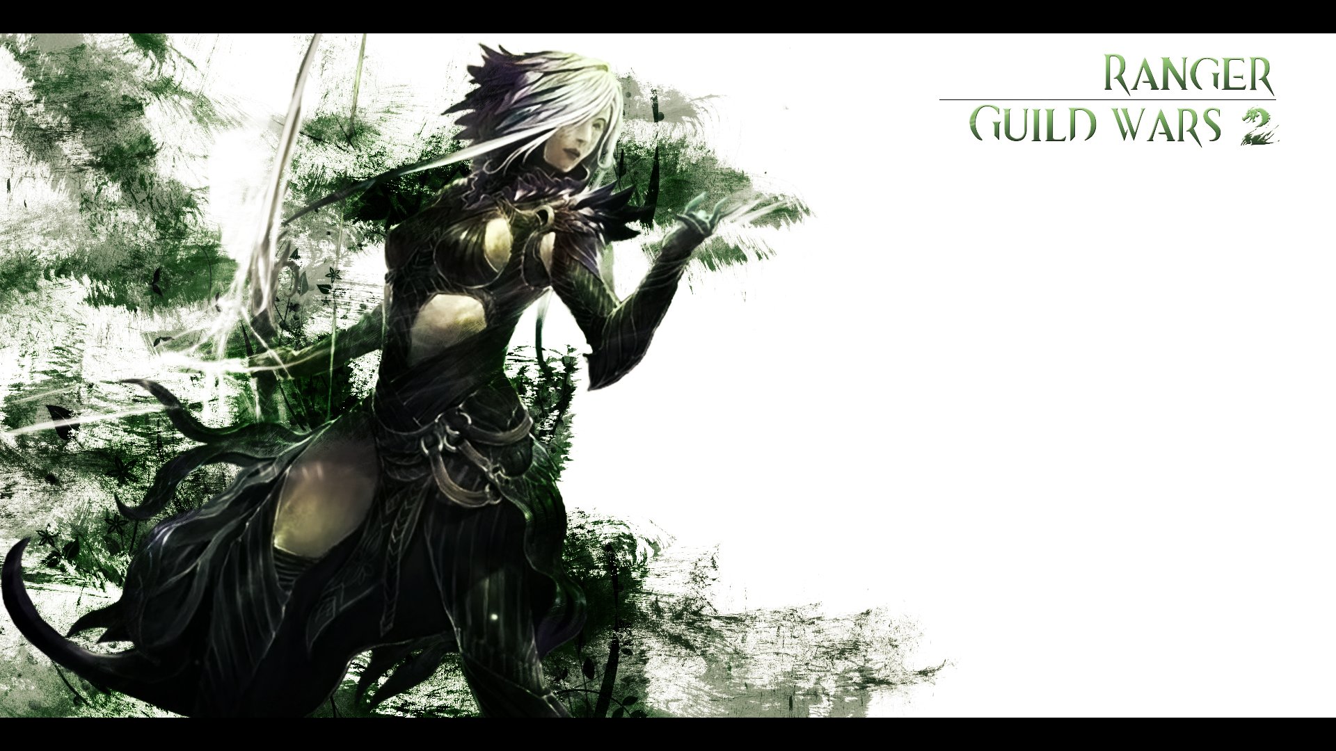 Fonds d'cran Jeux Vido Guild Wars 2 