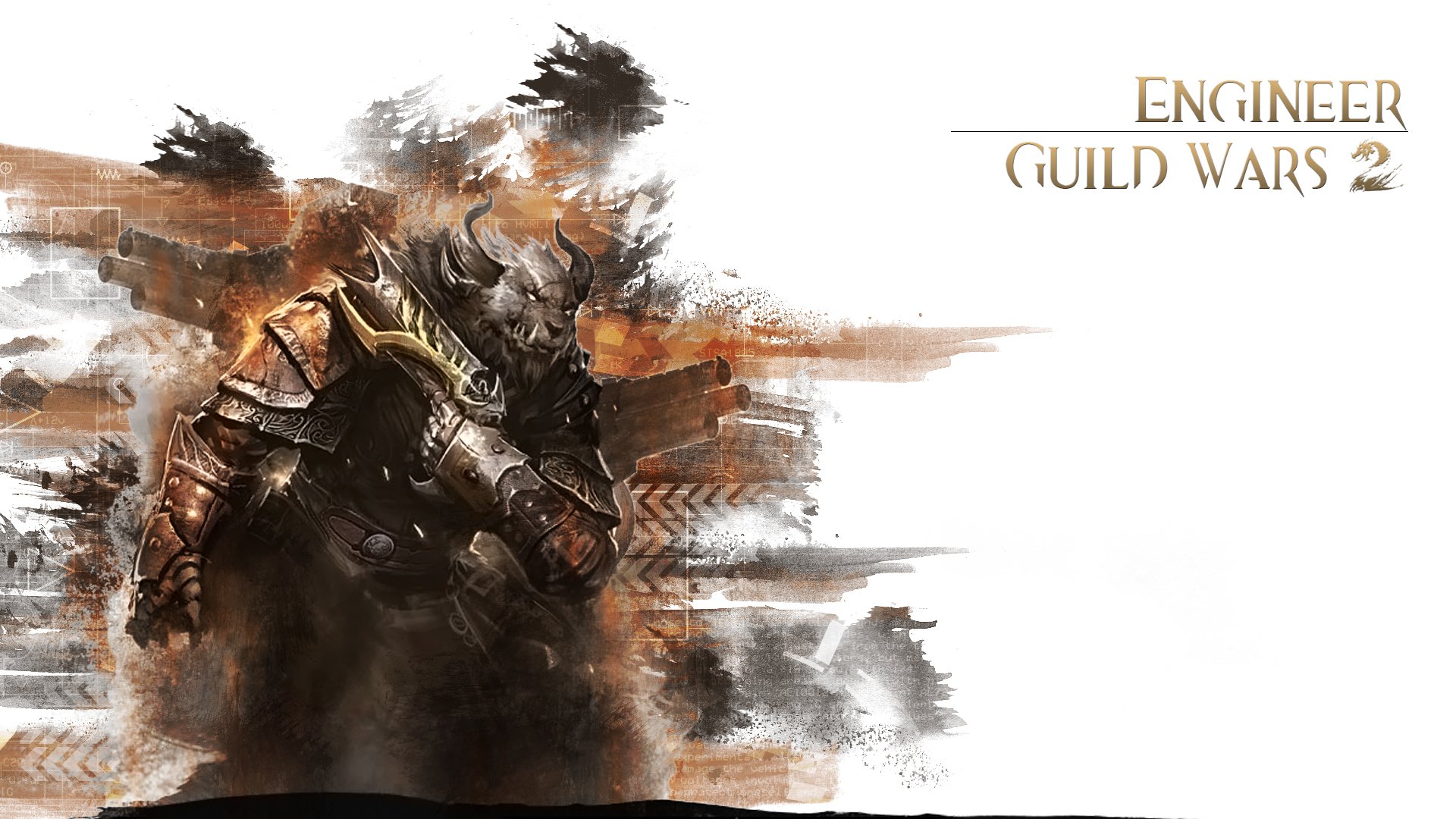 Fonds d'cran Jeux Vido Guild Wars 2 