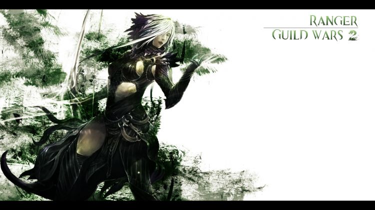 Fonds d'cran Jeux Vido Guild Wars 2 Wallpaper N313137