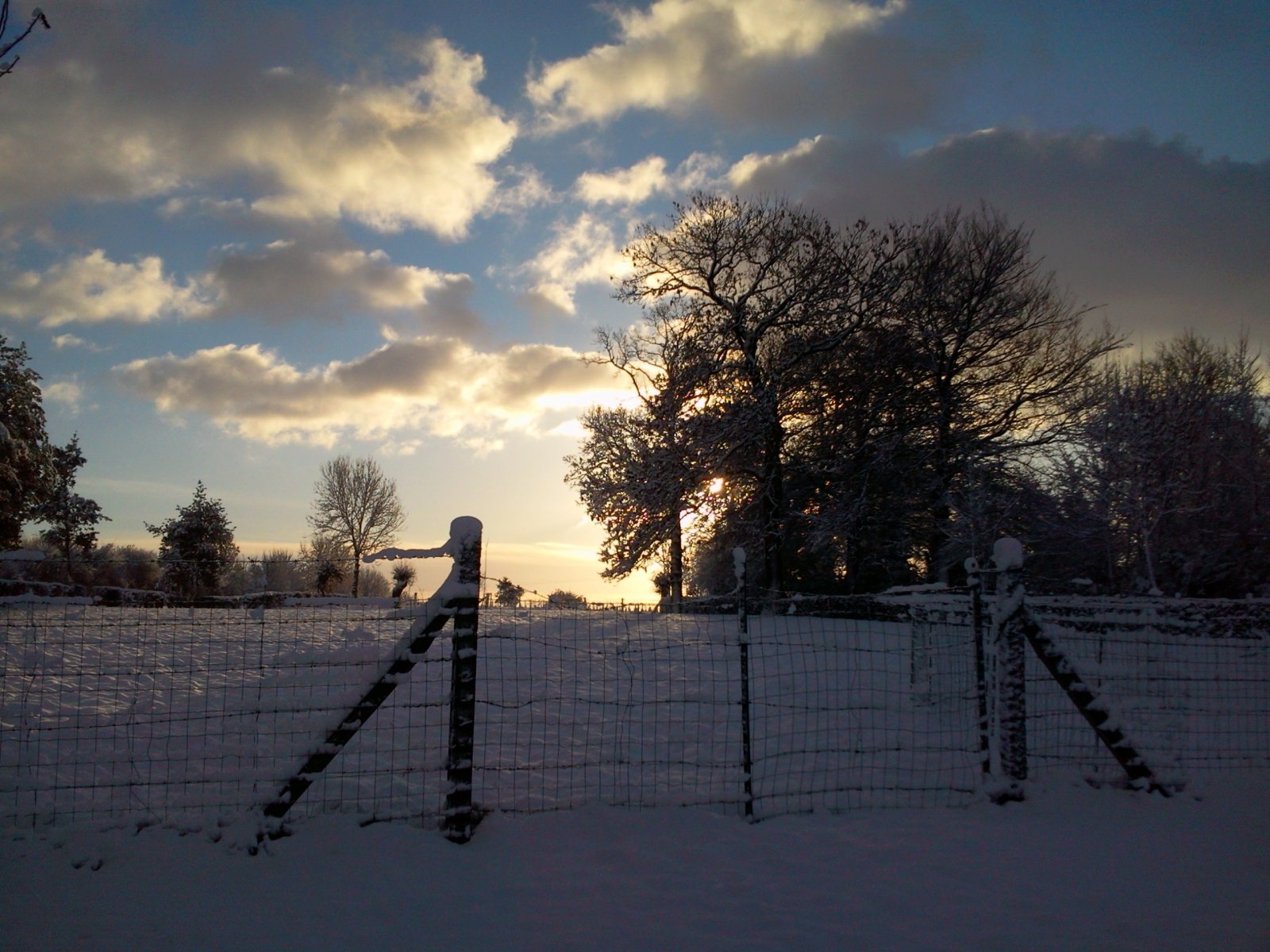 Fonds d'cran Nature Saisons - Hiver 