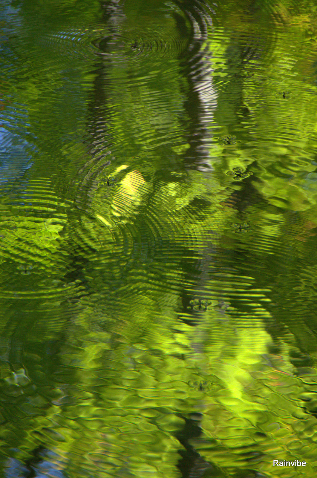 Fonds d'cran Nature Eau - Reflets Lac de L'argile