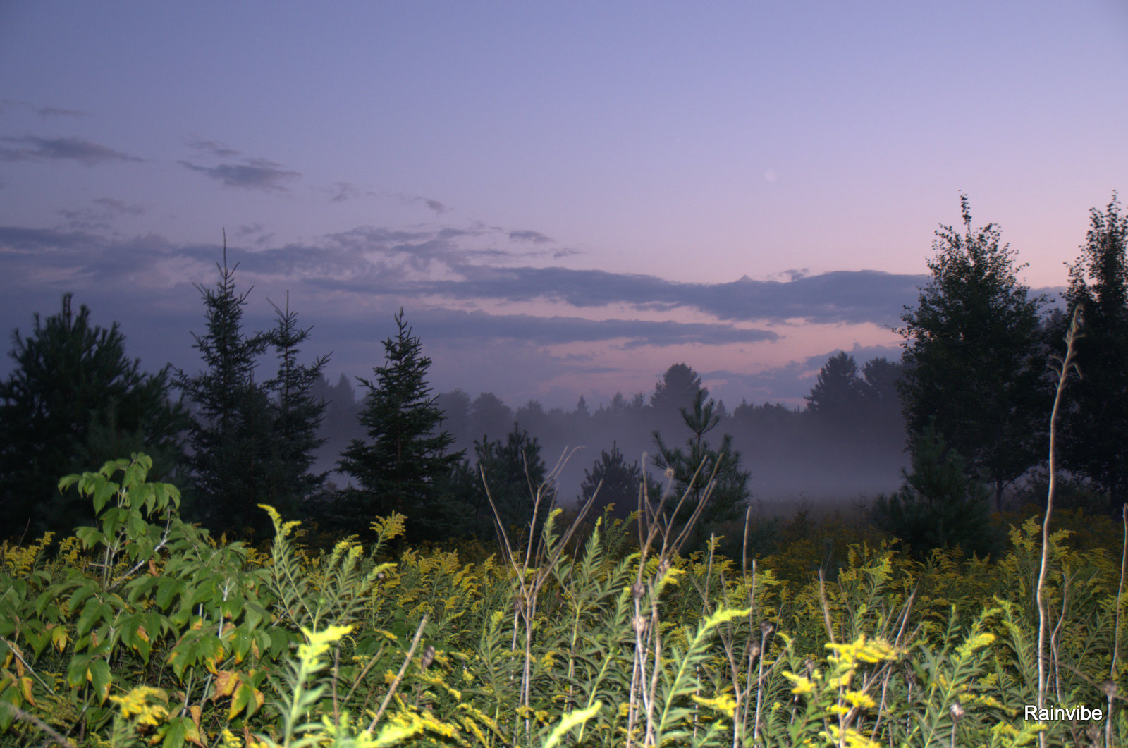 Fonds d'cran Nature Couchers et levers de Soleil Brume  Saint-Andr Avelin 