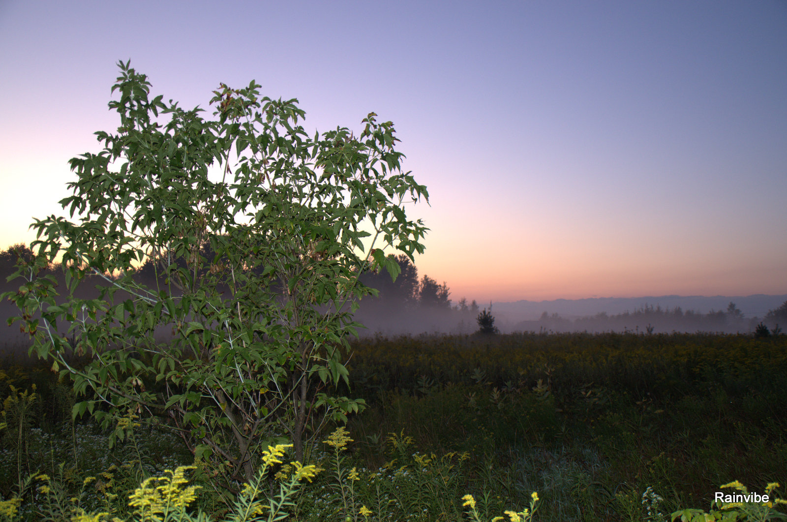 Fonds d'cran Nature Couchers et levers de Soleil Brume  Saint-Andr Avelin 